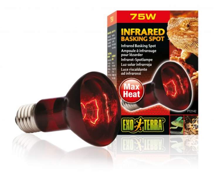 Preview: Exo Terra Infrared Basking Spot